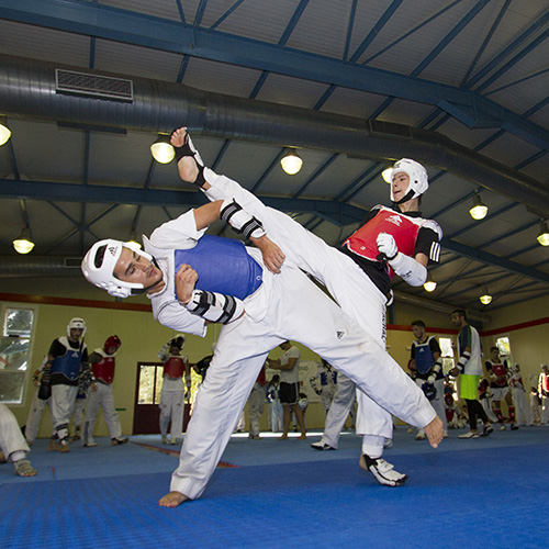 Martial Arts/ Heavy Sports | SPORTCAMP